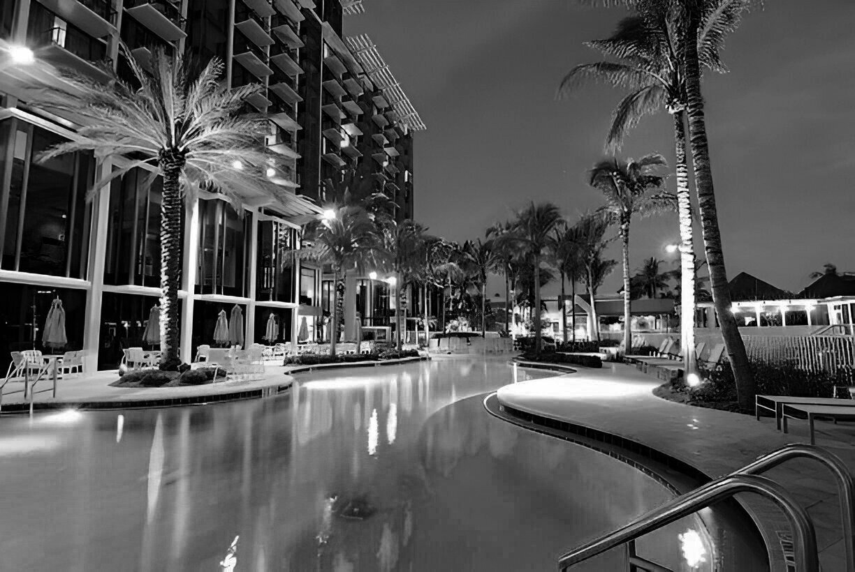 Infrared surveillance image at night
